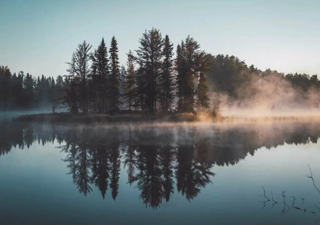 a foggy lake with trees and fog