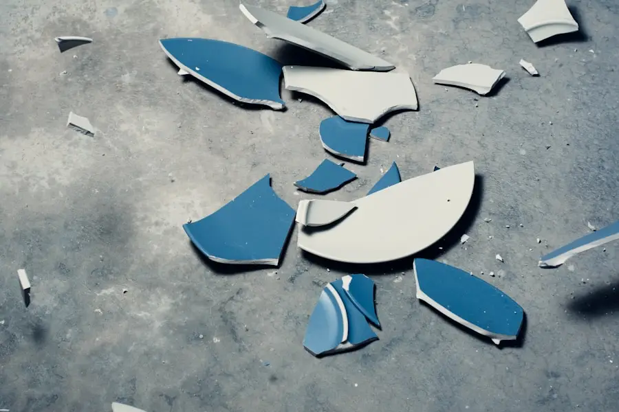 a broken plate on the ground