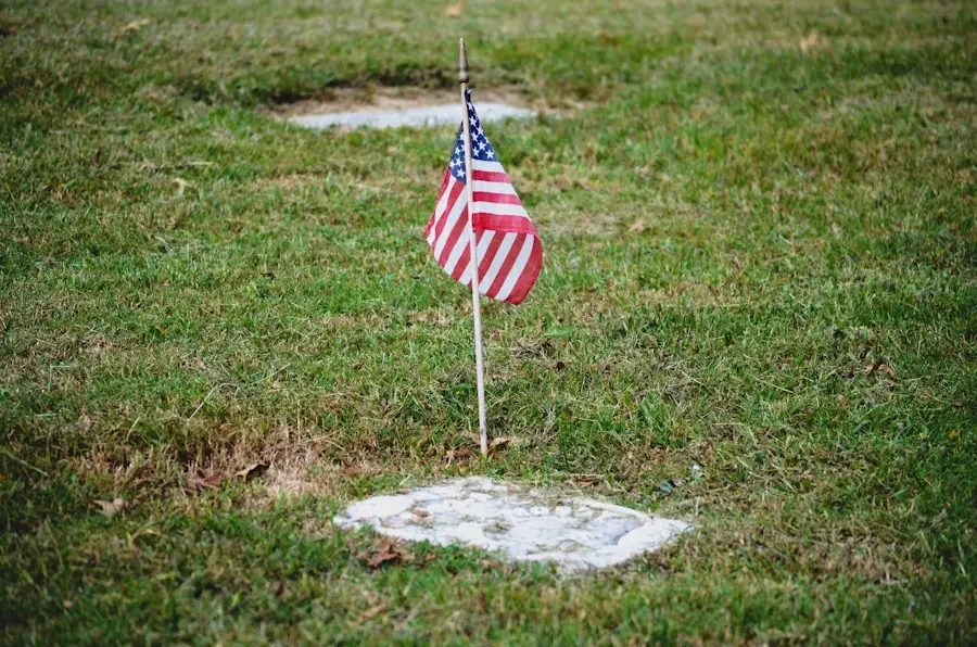 a flag in a grass field