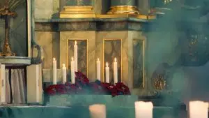 a group of candles with flowers in front of them