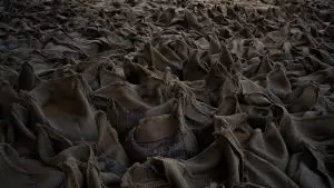 a large pile of burlap sacks