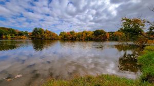 Photo Nature walk
