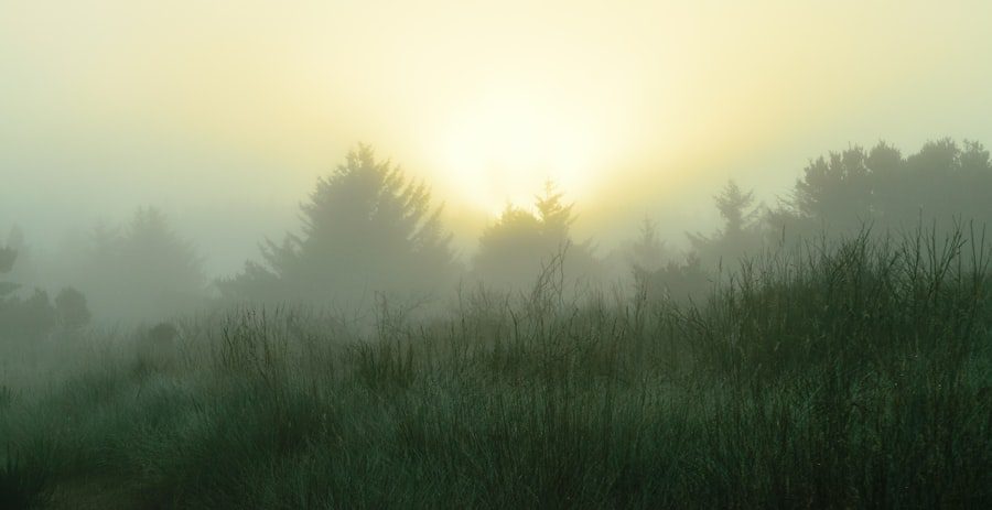 Great Awakening