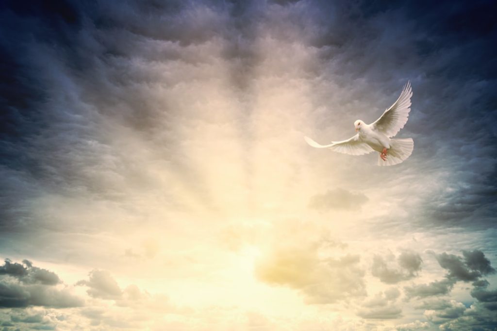 Photo Holy Spirit