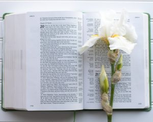 Photo Resurrection of Jesus