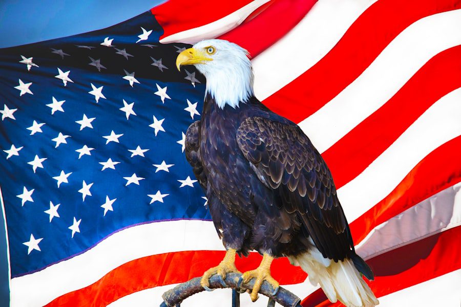 Photo America’s Founding Values