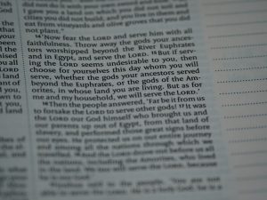 Photo Biblical Wisdom