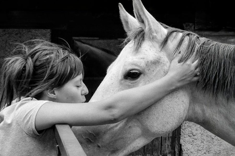 Photo Teaching Children Strength and Compassion