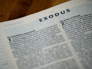 Photo Exodus