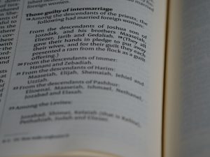 Photo Interpreting Laws