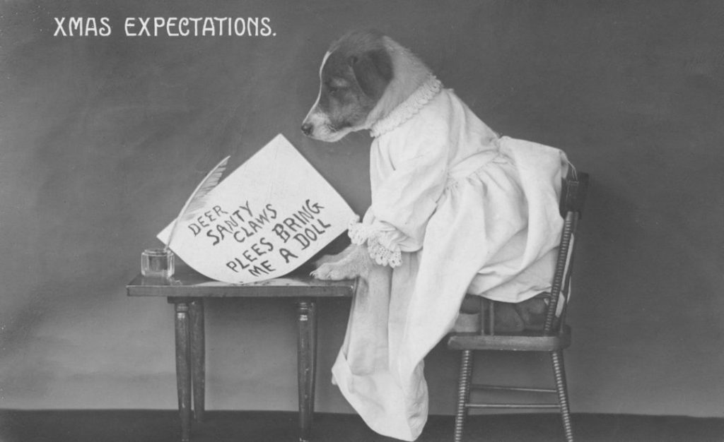 Photo Proclamations, Bullying