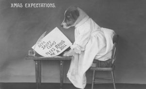 Photo Proclamations, Bullying