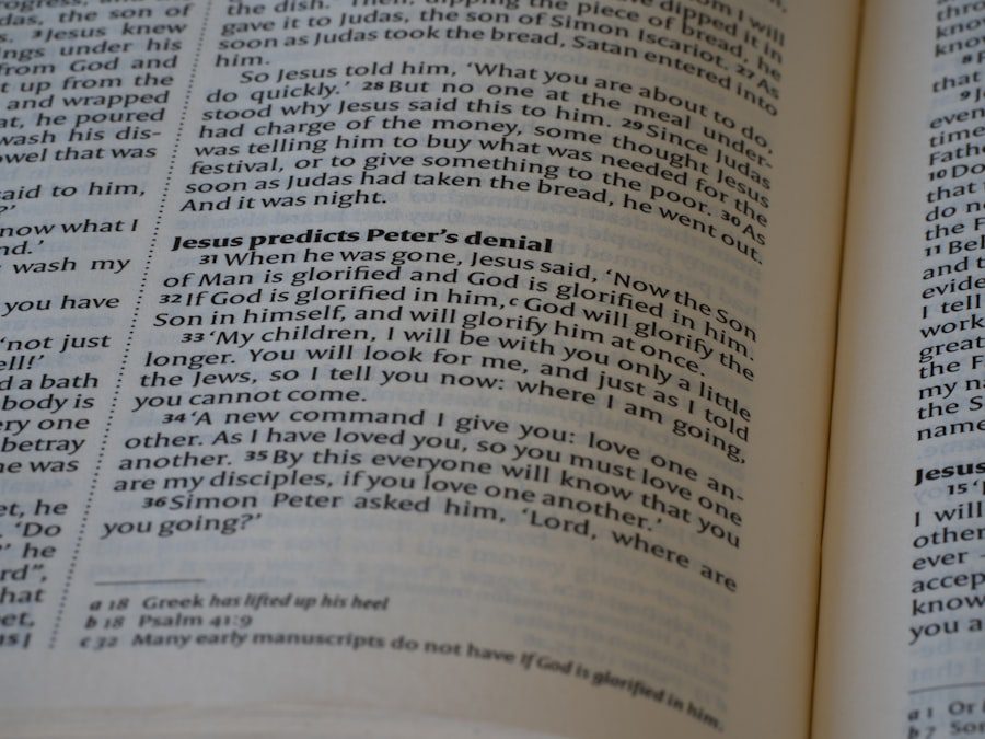 Photo Proclamations, Bullying